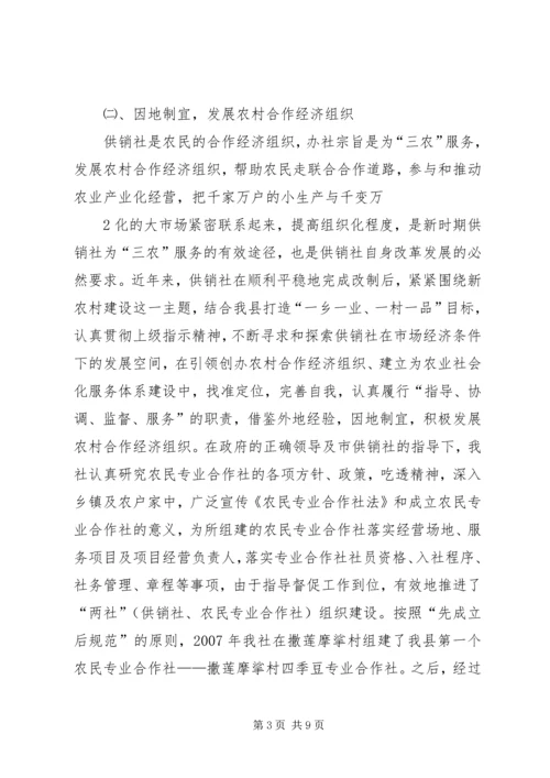 年是我县供销社全面落实十二五规划开局之年 (5).docx