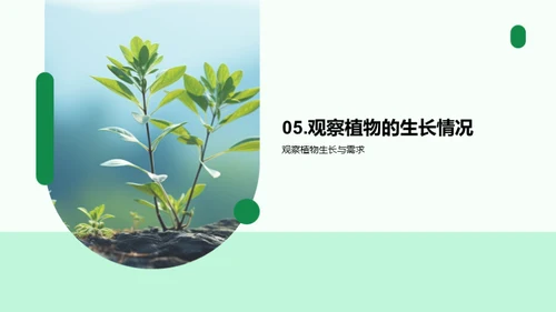 揭秘植物生长奥秘