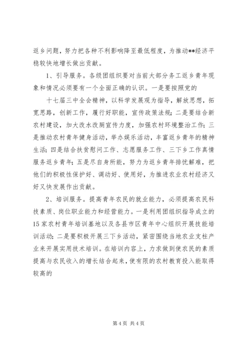 外出务工返乡青年情况调研报告 (3).docx