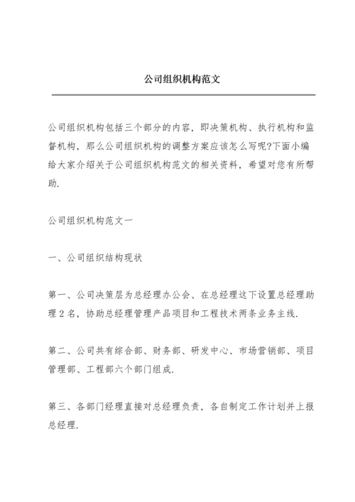 公司组织机构范文.docx