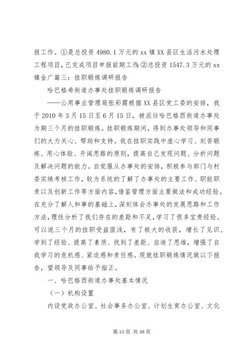 乡镇挂职调研报告.docx