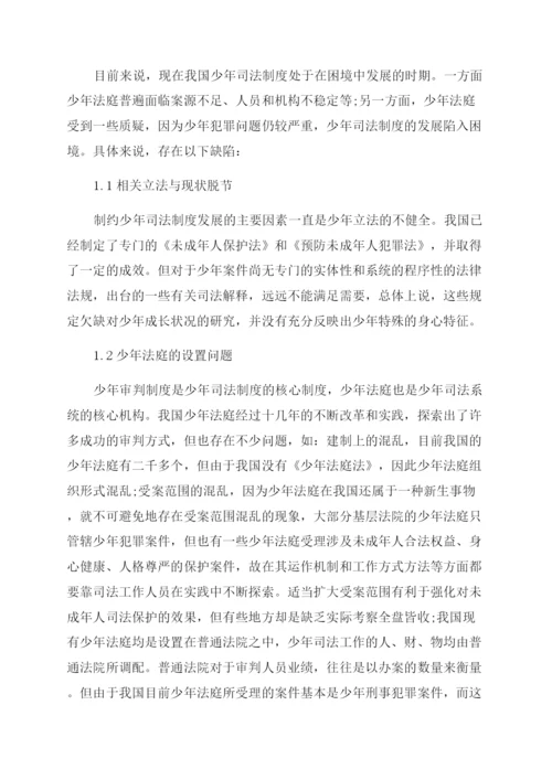 对我国少年司法制度的反思论文.docx