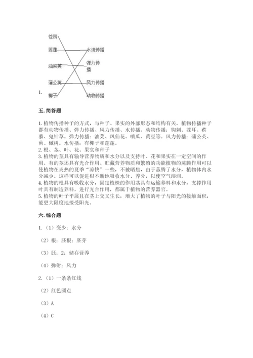 教科版四年级下册科学第一单元《植物的生长变化》测试卷【有一套】.docx