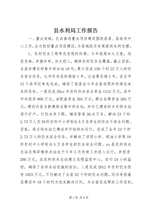 县水利局工作报告 (2).docx