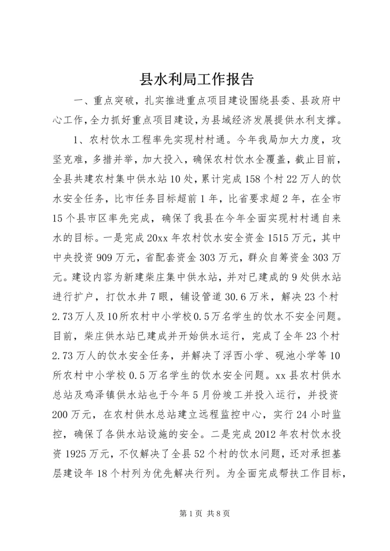 县水利局工作报告 (2).docx