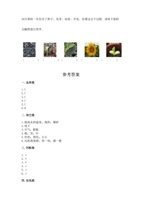 教科版科学一年级上册第一单元《植物》测试卷带答案（综合题）.docx