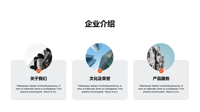 单色扁平3项企业介绍