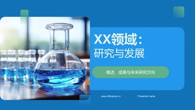 XX领域：研究与发展