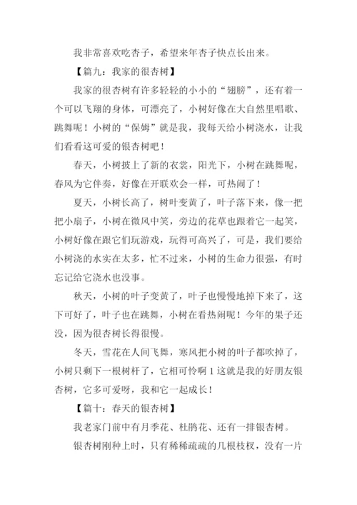 关于杏树的作文300字.docx