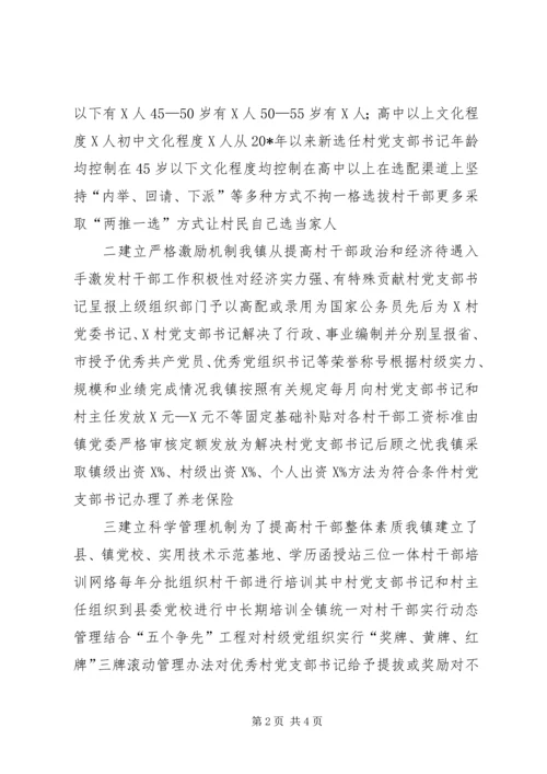 村党支部书记规范化管理汇报材料.docx