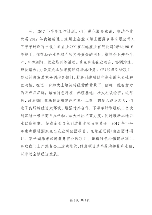 乡镇某年上半年经济工作总结暨下半年工作计划.docx