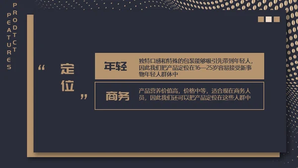 高端质感大气项目融资计划通用PPT模板