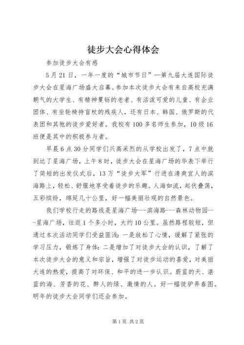 徒步大会心得体会 (4).docx