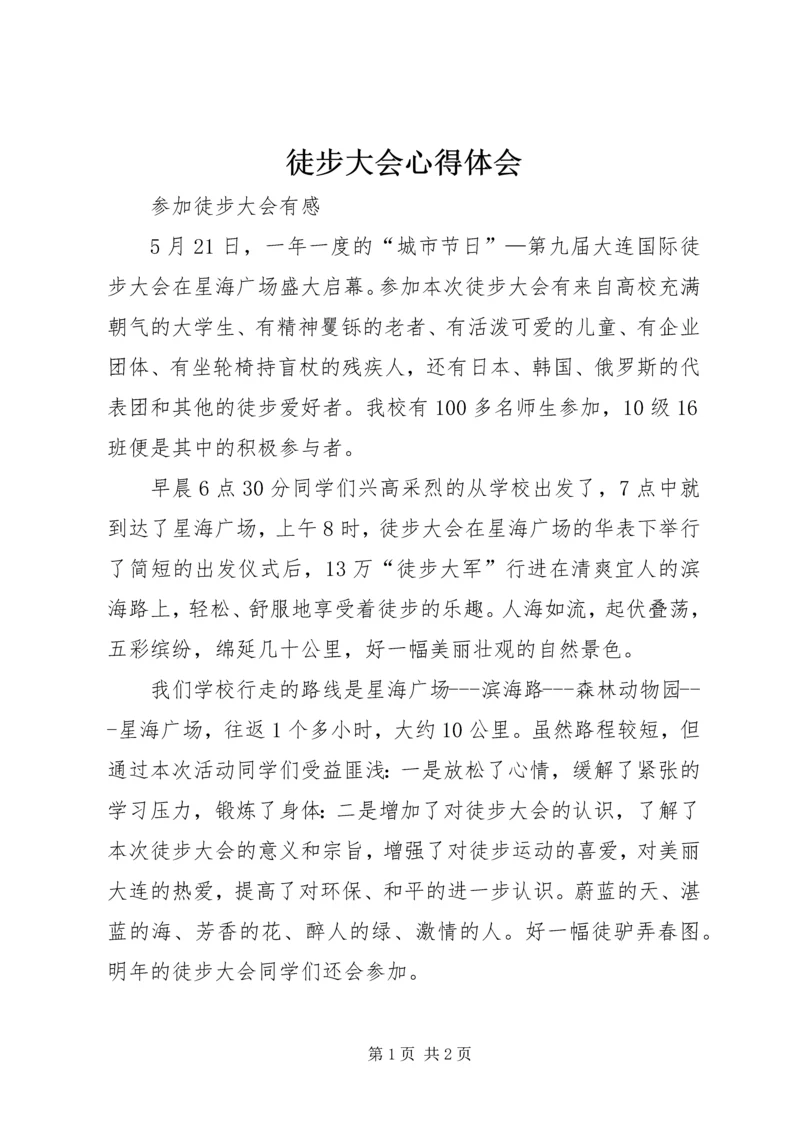 徒步大会心得体会 (4).docx