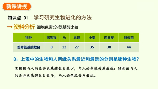 7.3.2生物进化的历程-八年级生物人教版下学期同步精品课件(共34张PPT)