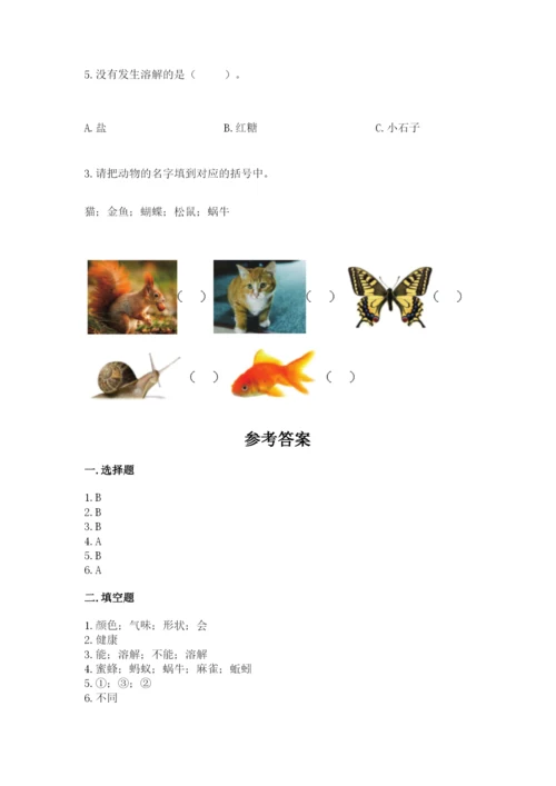 教科版小学科学一年级下册期末测试卷精品（全优）.docx