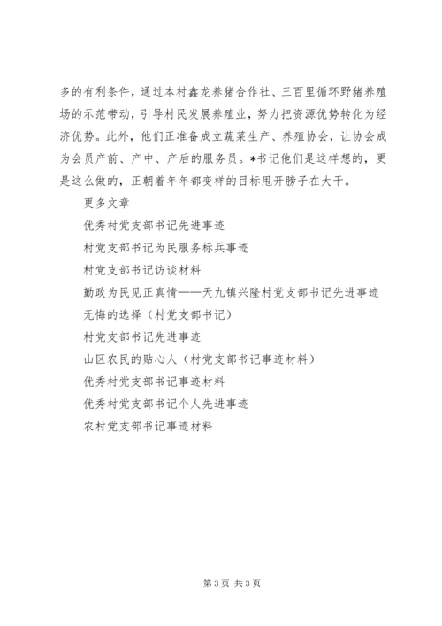 村党支部书记事迹材料 (12).docx