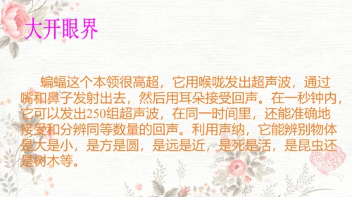 6夜间飞行的秘密  课件