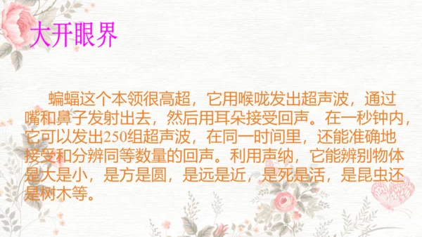 6夜间飞行的秘密  课件