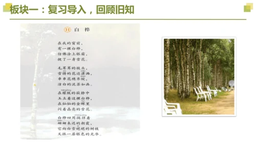 部编版2022-2023学年四年级语文下册大单元教学  第三单元    课件