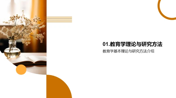 教育学研究透视