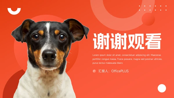 红色宠物行业企业介绍PPT模板