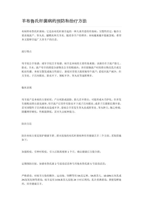 羊布鲁氏杆菌病的预防和治疗方法.docx