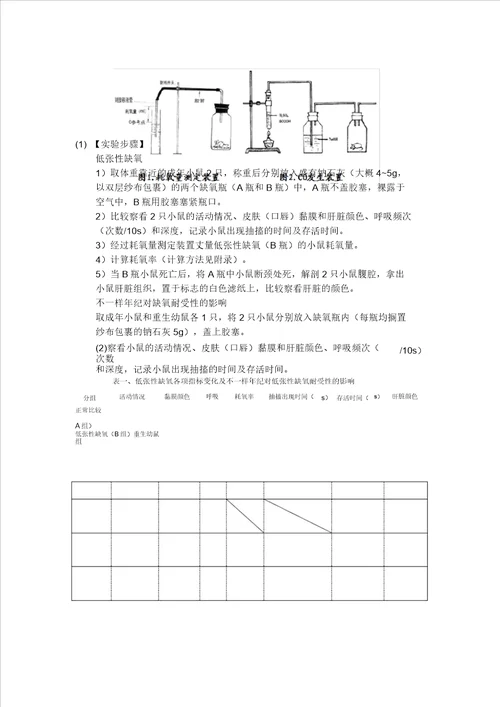 小鼠缺氧实验指导