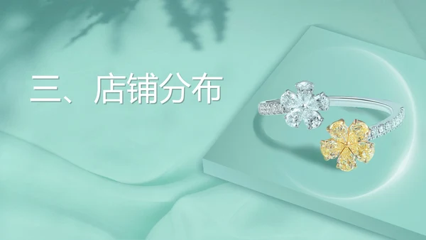 蓝色简约风饰品公司产品宣传PPT模板