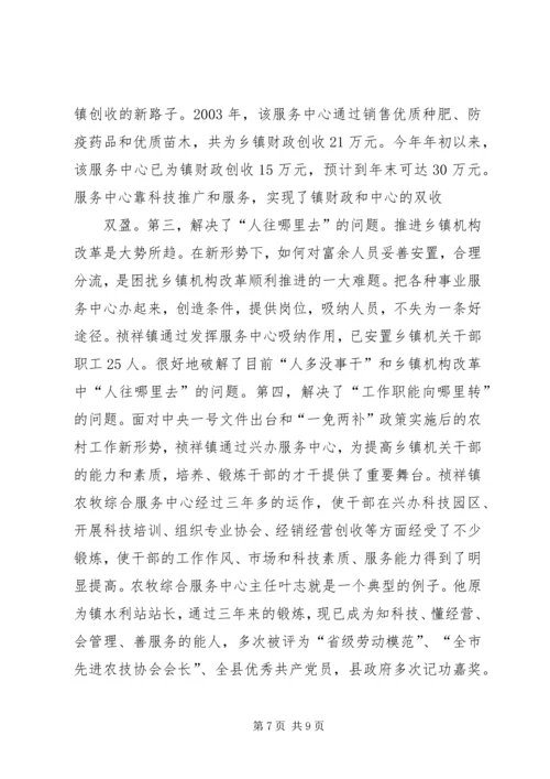 关于×镇农牧综合服务中心建设有关情况的调查.docx