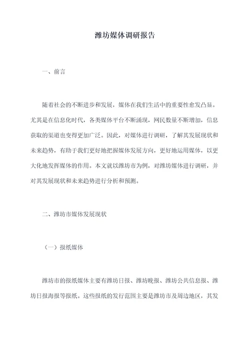潍坊媒体调研报告