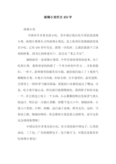 南翔小龙作文450字.docx