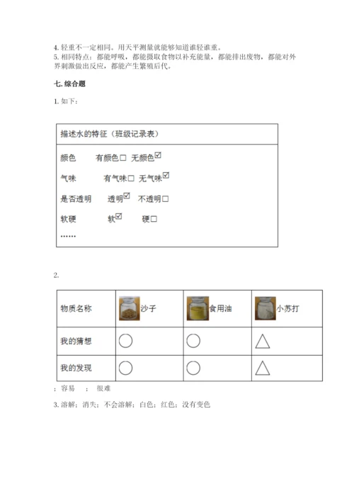 教科版小学科学一年级下册期末测试卷标准卷.docx