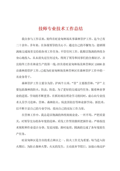 技师专业技术工作总结