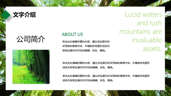 绿水青山就是金山银山通用PPT模板