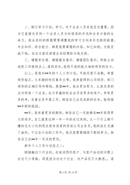 新年个人工作计划范文【四篇】.docx