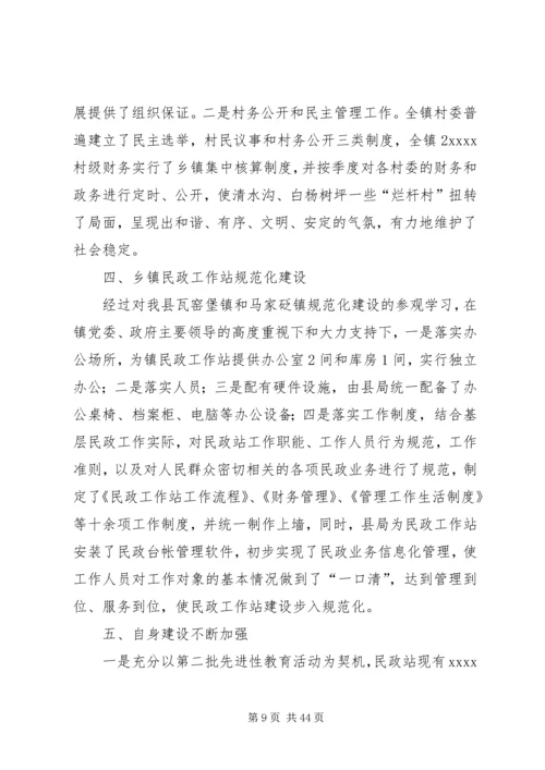 乡镇民政工作个人总结.docx