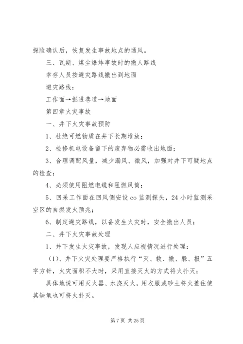 煤矿灾害预防与处理工作计划.docx