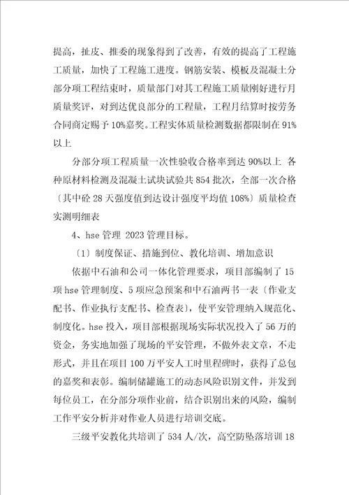 2023年项目管理专业技术工作总结