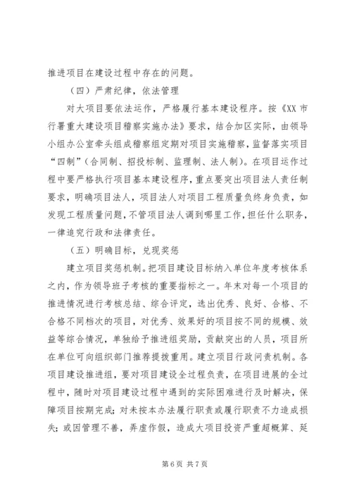 项目建设年工作方案 (4).docx