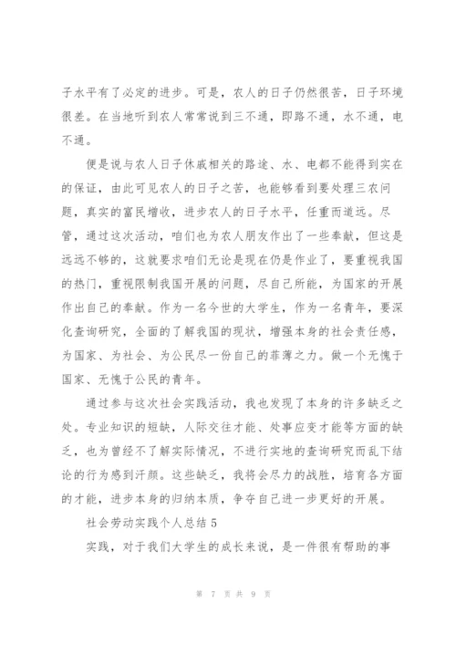 社会劳动实践个人总结5篇.docx