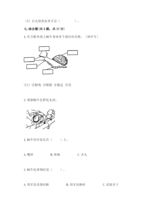 教科版一年级下册科学期末测试卷含答案【巩固】.docx