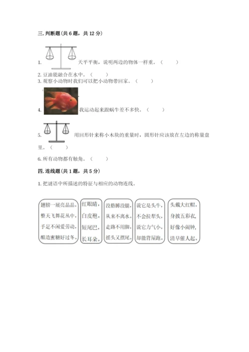 教科版一年级下册科学期末测试卷精华版.docx