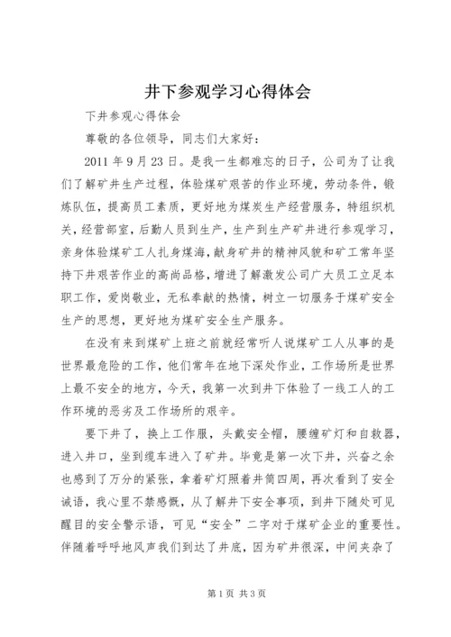 井下参观学习心得体会.docx