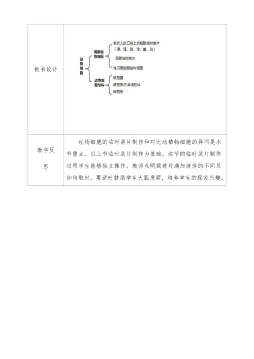2.1.3动物细胞教学设计