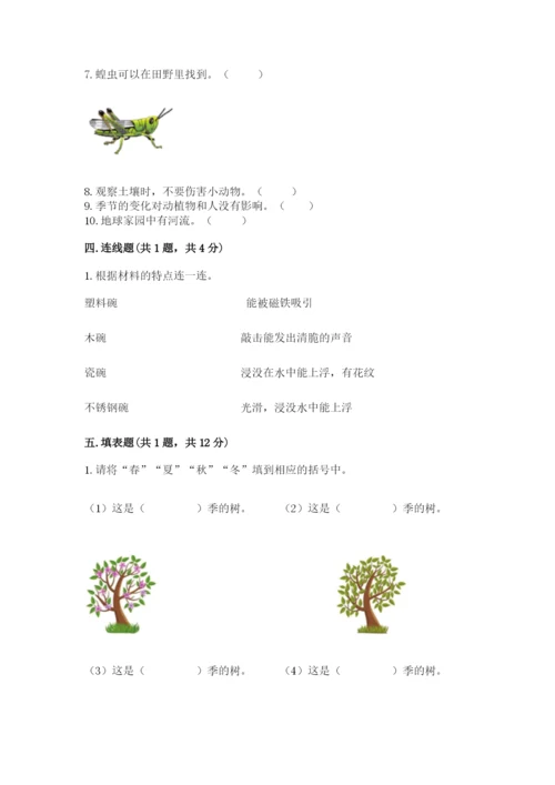 教科版科学二年级上册期末考试试卷标准卷.docx