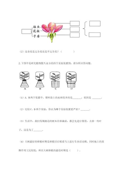 教科版四年级下册科学第一单元《植物的生长变化》测试卷（名师推荐）.docx
