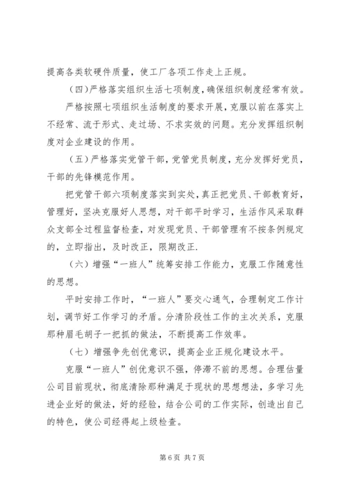 公司班子成员民主生活会剖析材料 (2).docx