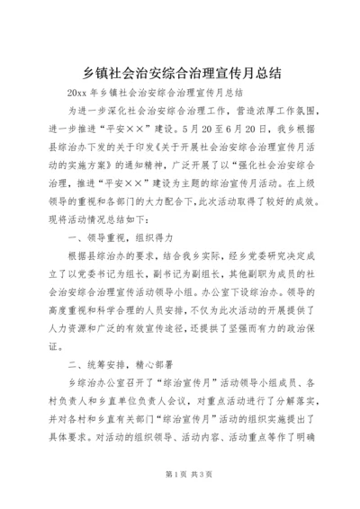 乡镇社会治安综合治理宣传月总结.docx