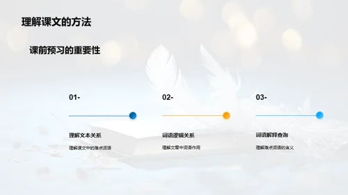 词语学习深度解读